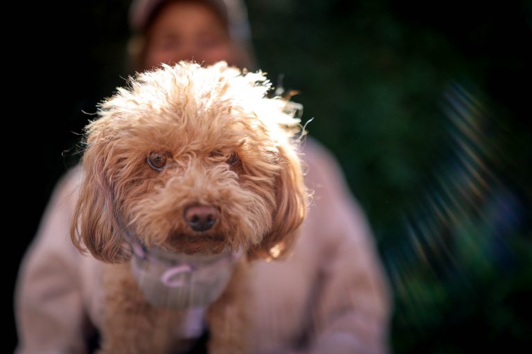 Maisy_Hunter_Shoot1