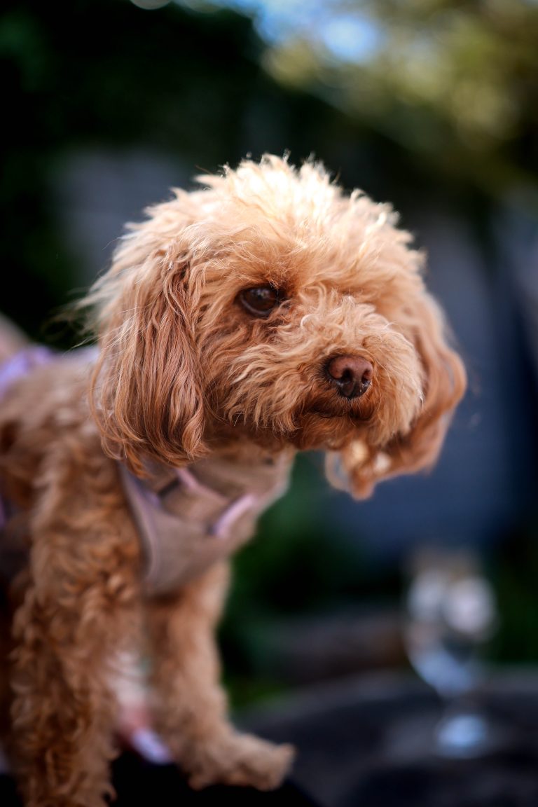 Maisy_Hunter_Shoot2