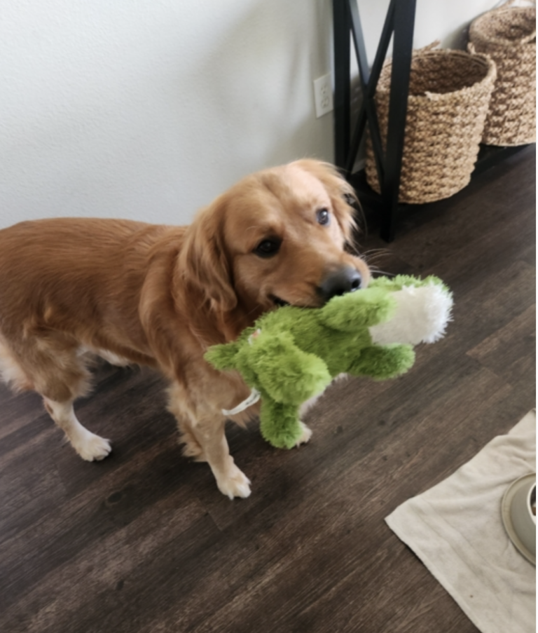 Screen_Shot_2025-07-25_at_5.40.05_PM