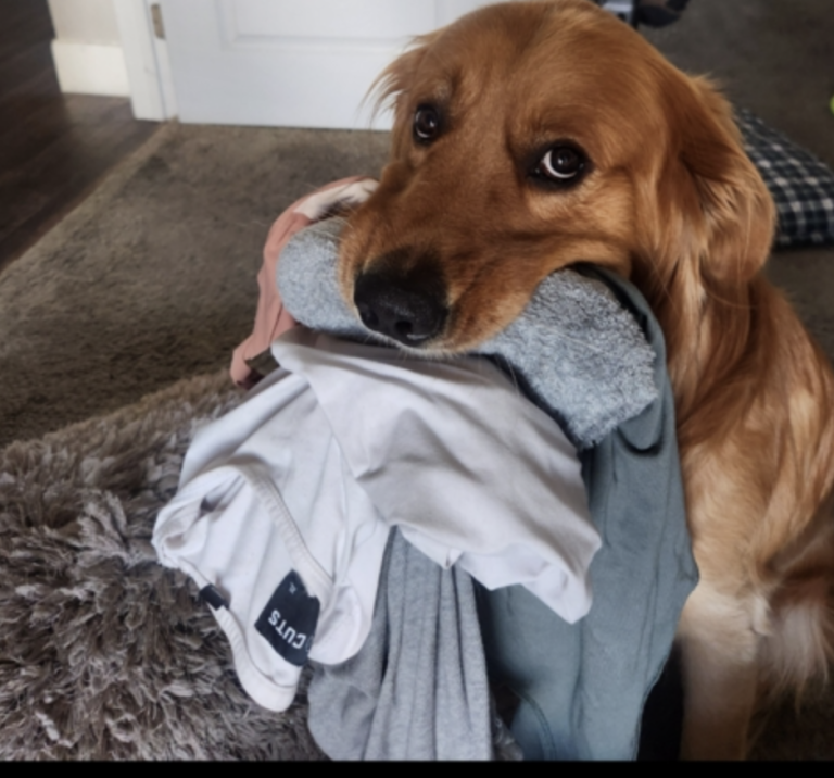 Screen_Shot_2025-07-25_at_5.40.30_PM