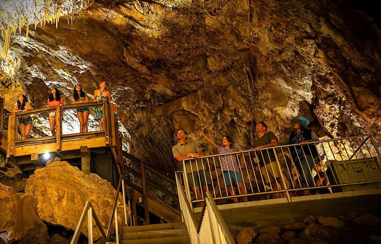 53070979262_ac5254ef78_k