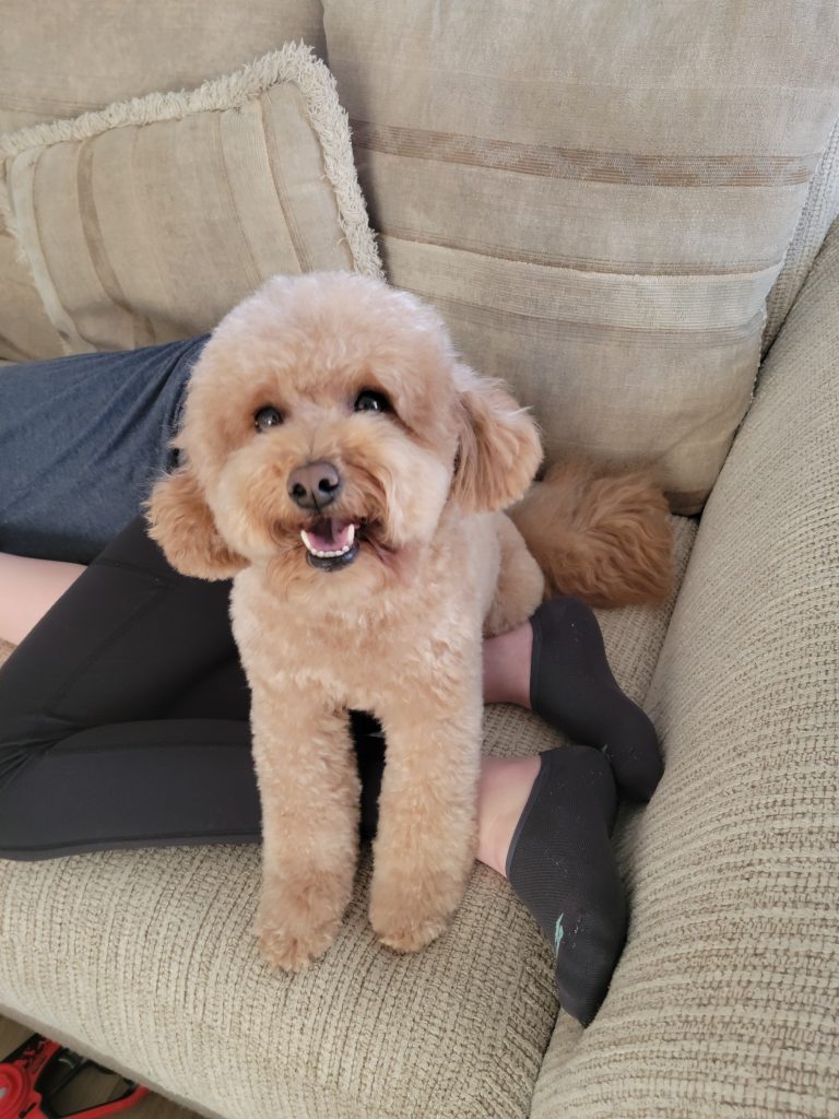 e0d6805f-01b4-4329-a038-fbfb3d29d5d0-1_all_3106